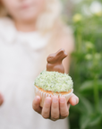 EASTER LINDT BUNNY CUPCAKES | BOX OF 12
