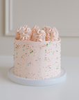 KIDS CAKE CLUB | SPRINKLE PARTY