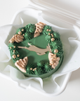 SPRINGBOK LUNCHBOX CAKE | GREEN