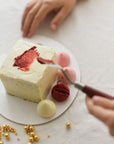 LITTLE CAKE ARTIST KIT