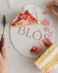 LITTLE CAKE ARTIST KIT