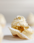 VANILLA CUPCAKES