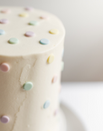 ANIMAL PARTY CAKE