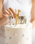 ANIMAL PARTY CAKE
