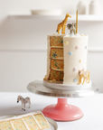 ANIMAL PARTY CAKE