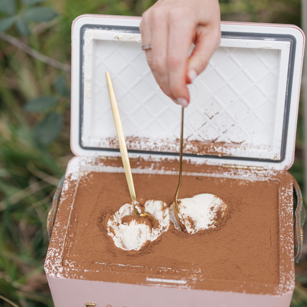 Traveling Tiramisu
