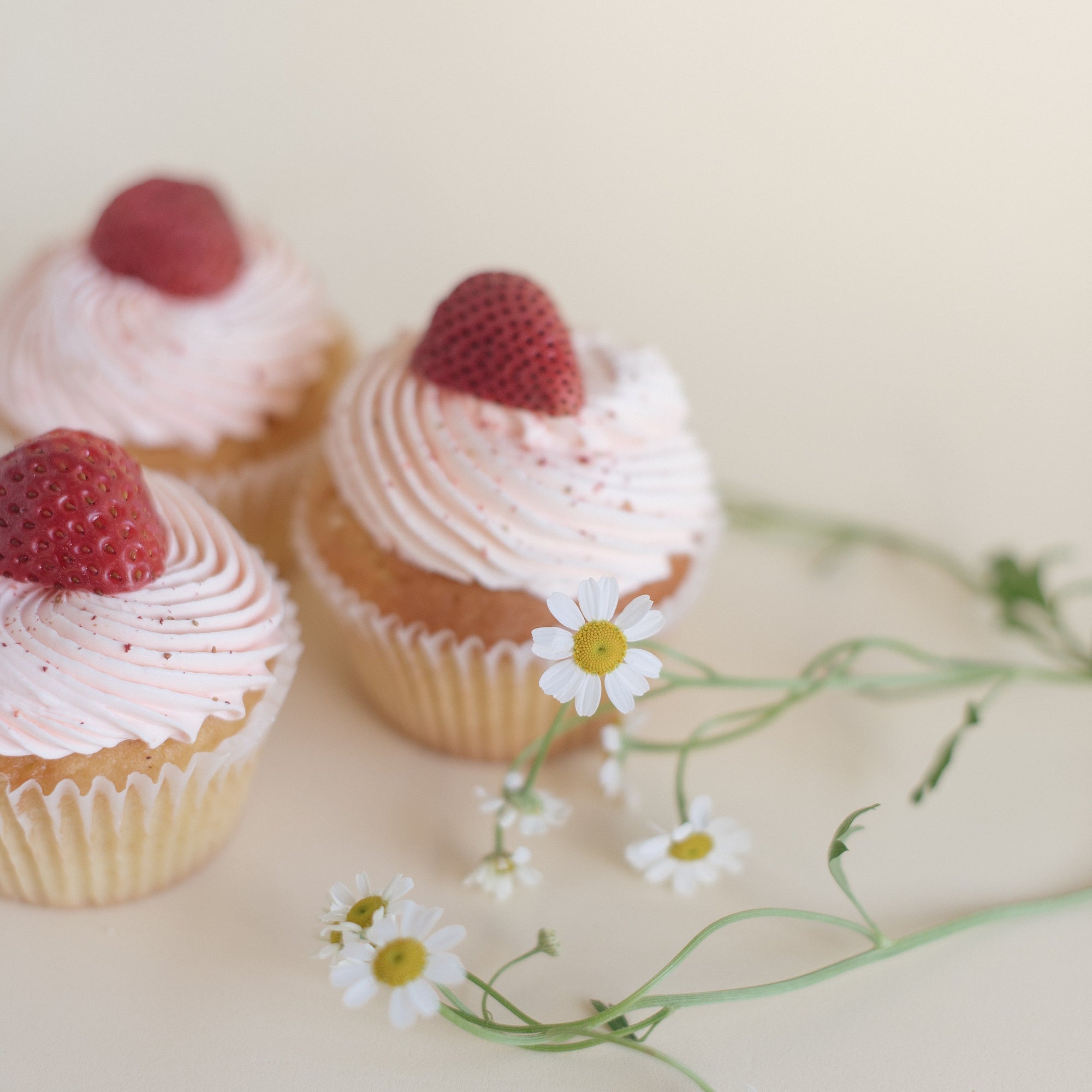 STRAWBERRY SHORTCUPCAKE
