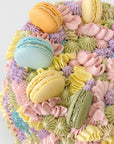 SUGAR CLOUD
